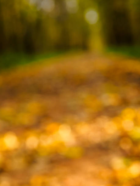 istock blurred background of autumn path in the park 1305279516