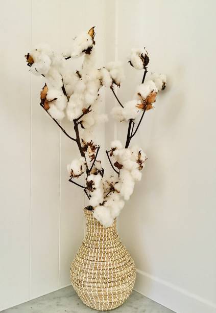 istock Organic Cotton Tree Brach in Woven Vase 1305280937