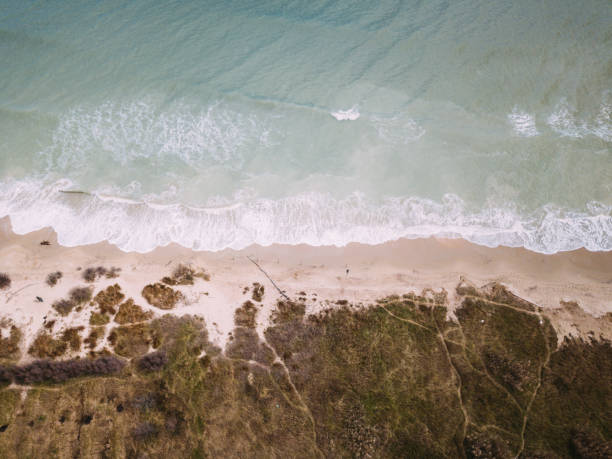 istock Wild Seascape - Italian coastline 1305286387
