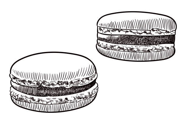 ilustrações, clipart, desenhos animados e ícones de desenho de macarons - macaroon french culture dessert food