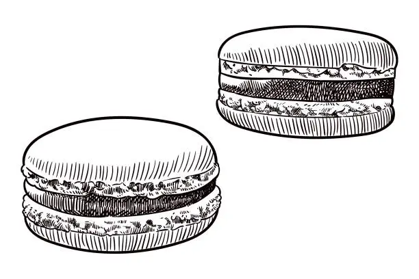 Vector illustration of Drawing of macarons