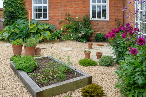 istock Landscaped courtyard garden with raised beds, UK 1305287827