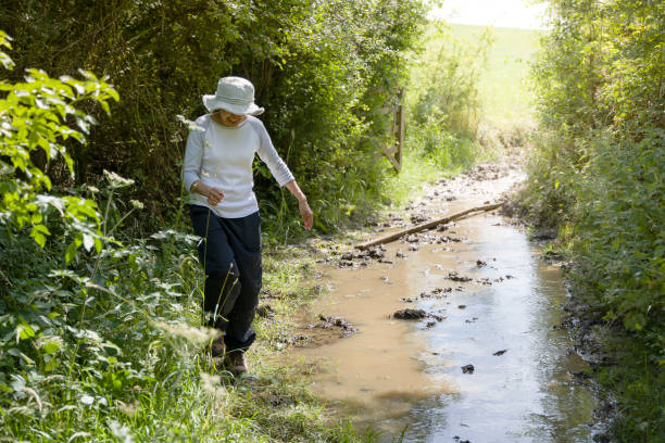 indian woman hiking on a trail in english countryside, uk - wood dirt road footpath exercising imagens e fotografias de stock