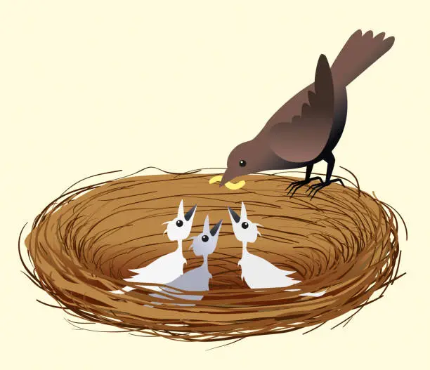 Vector illustration of Mother bird feeding her chicks