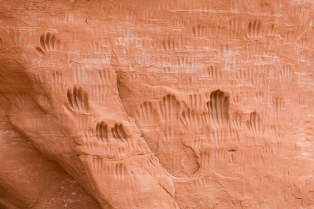 handprints in rock at indian cave, kodachrome basin, utah, usa - cave painting indigenous culture american culture art imagens e fotografias de stock