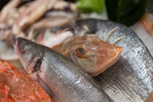 istock Seafood luxury choice ingredients 1305290452