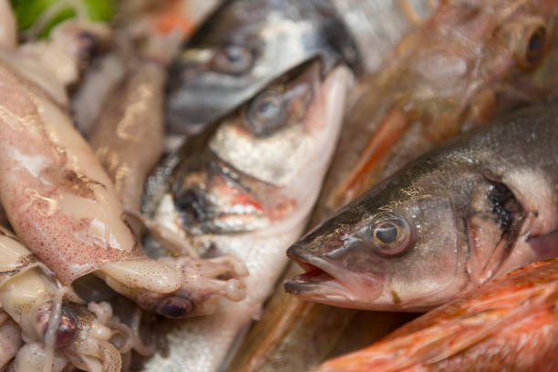 Close up detail on seafood ingredients on a bed of ice. No people are visible.