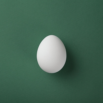 White egg on green pastel background. Copy space. Minimal concept.