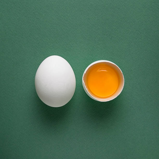 istock White egg, yolk on green pastel background. Minimal concept. 1305292038