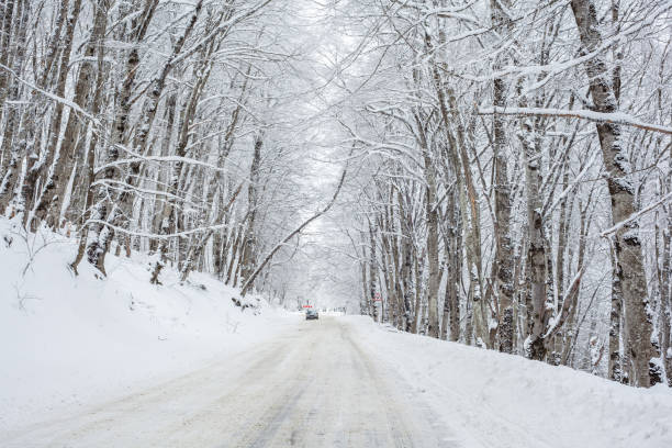istock Road in Sabaduri forest with covered snow. Winter time 1305297117