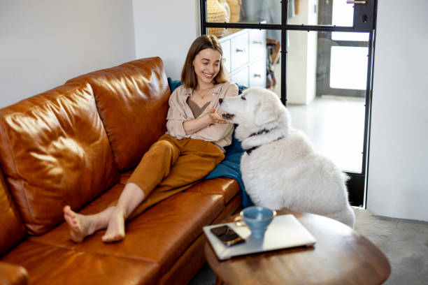 istock Woman sitting on the sofa at home with a dog. 1305297498