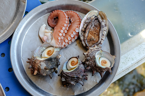 Close-up shot of various freshly caught raw seafood on a stainless steel tray, at a fish market in Jeju Island. There is a conch shell, an abalone, and slices of octopus tentacle.