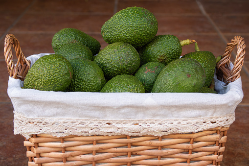 Close-up of wicker picnic basket full of freshly harvested hass avocados from local orchard
