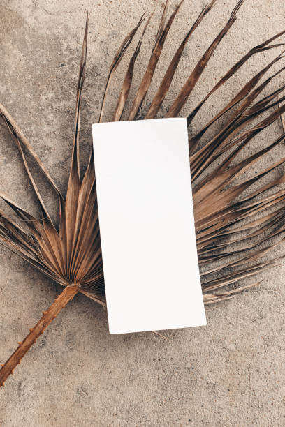 istock Summer wedding stationery, birthday mock-up. Empty menu card. Dry palm tree leaf. Grunge concrete background in sunlight, long shadows. Flat lay, top view. Restaurant concept. 1305302948