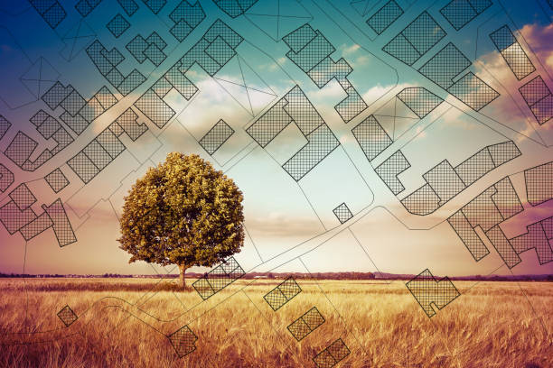 istock Cadastral map with a lone tree on a rural scene - concept image 1305304219