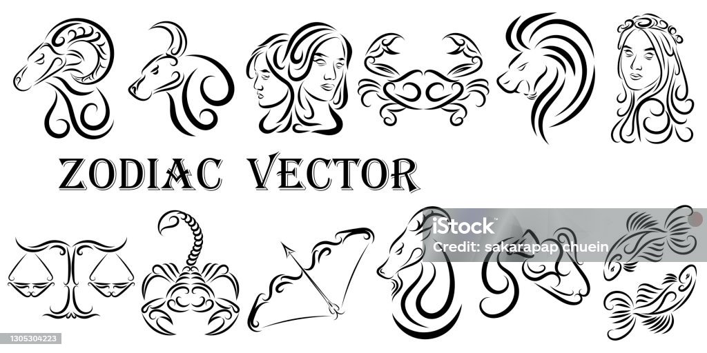 Vector Graphic Illustration Of Zodiac Signs All Zodiac Signs In Line Art  Concept Aries Taurus Gemini Cancer Leo Virgo Libra Scorpio Sagittarius  Capricorn Aquarius And Pisces Stock Illustration - Download Image Now -