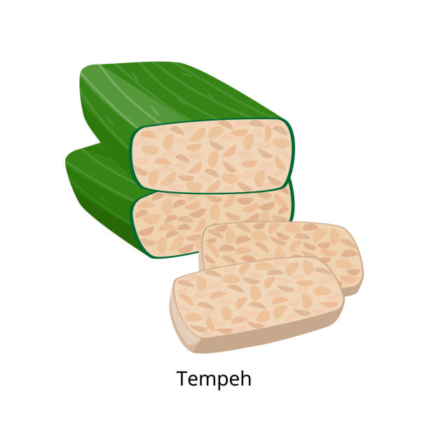 テンペはバナナの葉に包まれています - 大豆製品 - 白い背景に分離されたベクターイラスト。 - tempeh点のイラスト素材／クリップアート素材／マンガ素材／アイコン素材