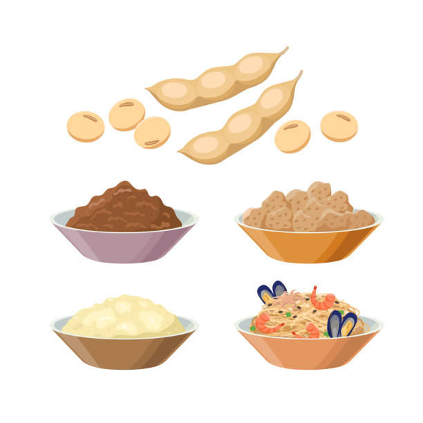 kinako, miso, sojafleisch, tofu, sojanudeln mit meeresfrüchten, sojabohnen. sojabohnen-produkte - vektor-illustration isoliert auf weißem hintergrund. - soybean isolated seed white background stock-grafiken, -clipart, -cartoons und -symbole