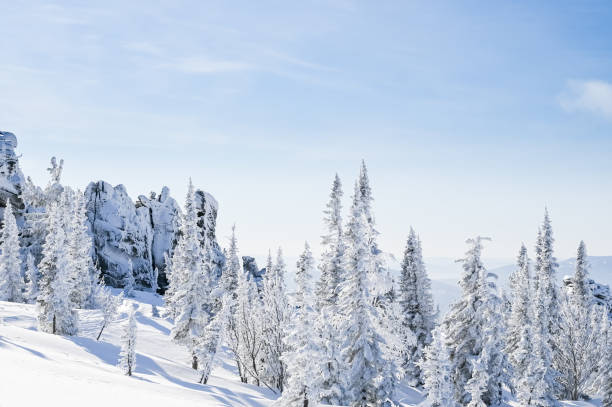 istock snow-covered trees in winter landscape 1305305537