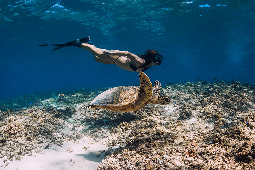 La mujer freediver se desliza bajo el agua con tortuga en el océano. Snorkeling con tortuga marina verde. photo