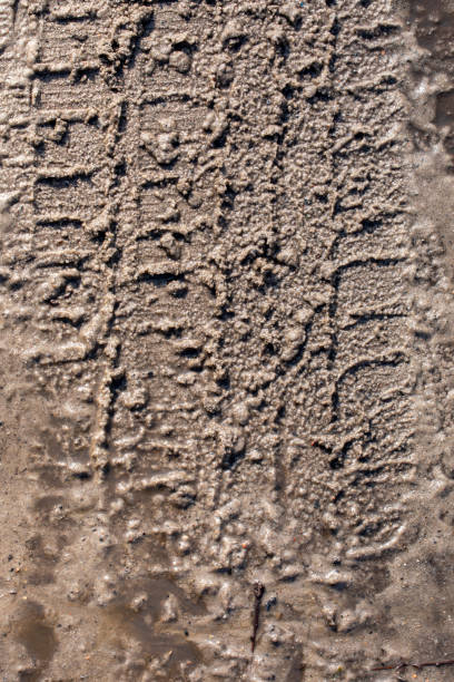 istock country road tire print, vertical 1305308052