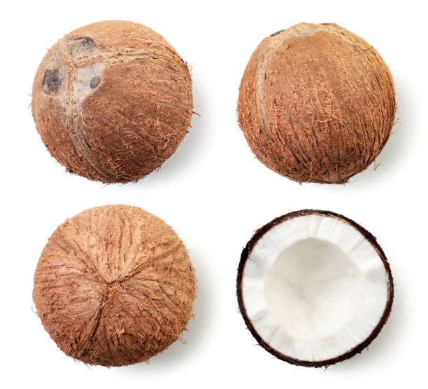istock Set of coconut and half on a white, isolated. Top view. 1305310952