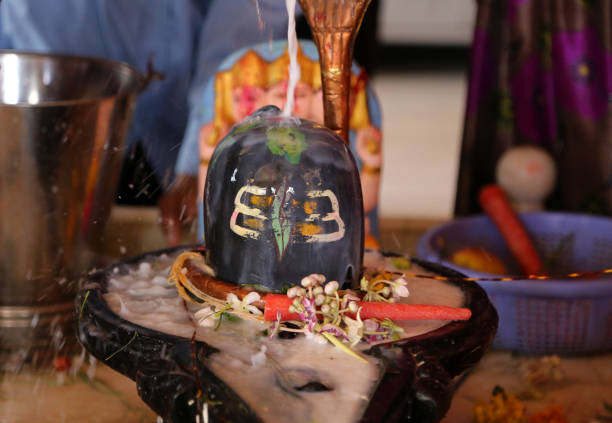 maha shivratri festival in rajasthan, indien - devotee stock-fotos und bilder