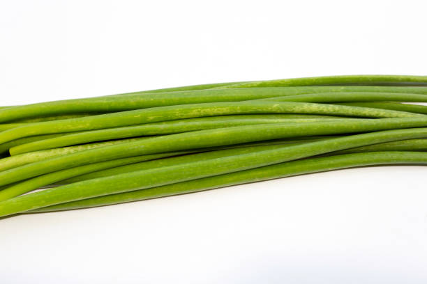 istock Chinese Chive isolated on white background. 1305315292