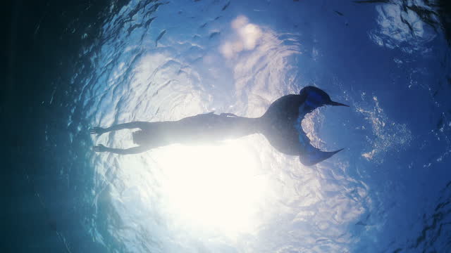 Sillhouette women wearing Mermaid dress and diving in the sea ocean