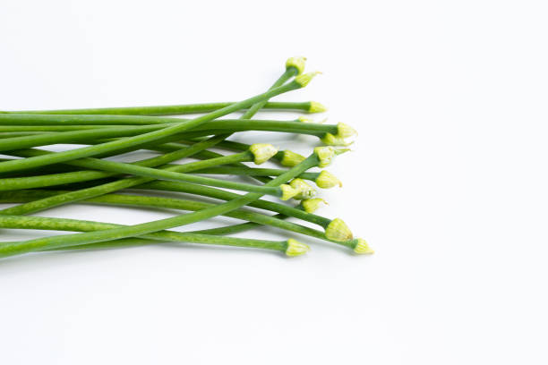 istock Chives flower or Chinese Chive isolated 1305316838