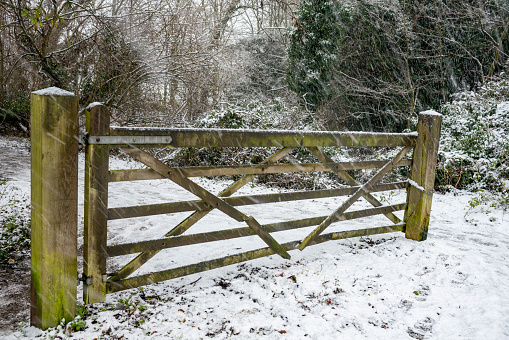 Farm gate during a snow shower
