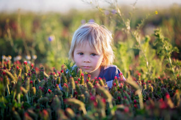 istock Blond child in red crimson field on sunset, boy looking at camera 1305321344