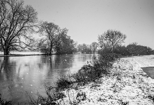 River Great Ouse during a snow shower, with trees on the bank in the snowy weather.