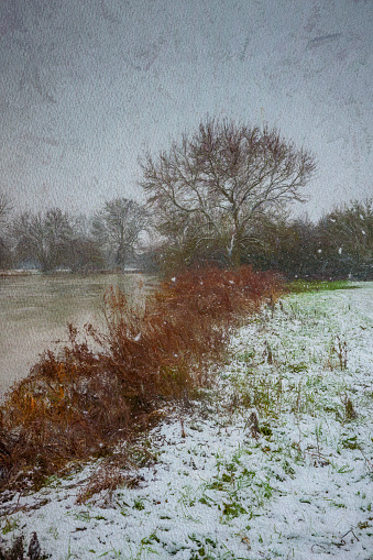 A panoramic shot of a row of trees in front of a mountain and a fiel covered in snow