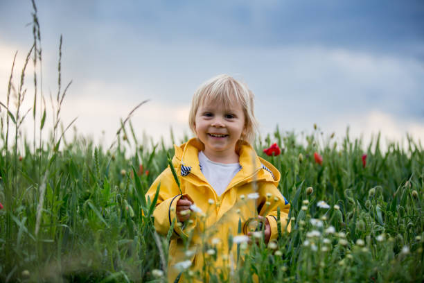 istock Sweet child, blond boy, playing in poppy field before storm, dramatic sky, enjoying spring evening 1305323402