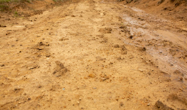 istock Slush and mud on a village road after rain 1305326100