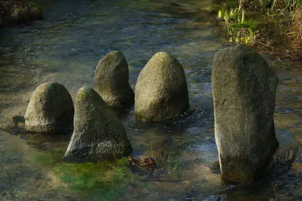 Photo of Huge boulder covered with moss stick out of the water.