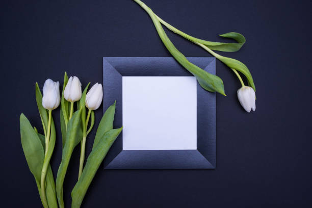 istock in the middle, on a black background, lies a black frame with a white background and white tulips on the sides 1305332436