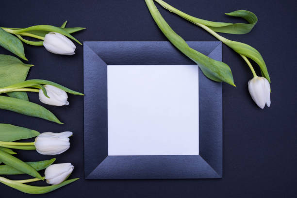 istock on a black background lies a black frame with a white background and white tulips on the sides of the frame 1305332448