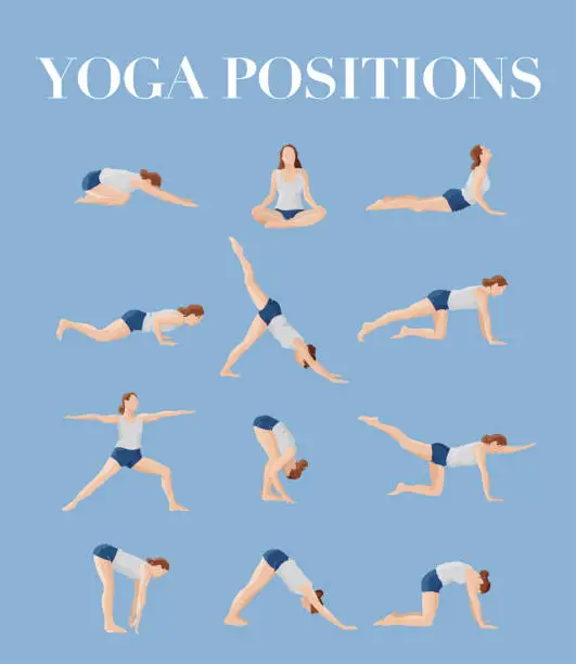 Vector illustration of Illustration showing a variety of yoga poses