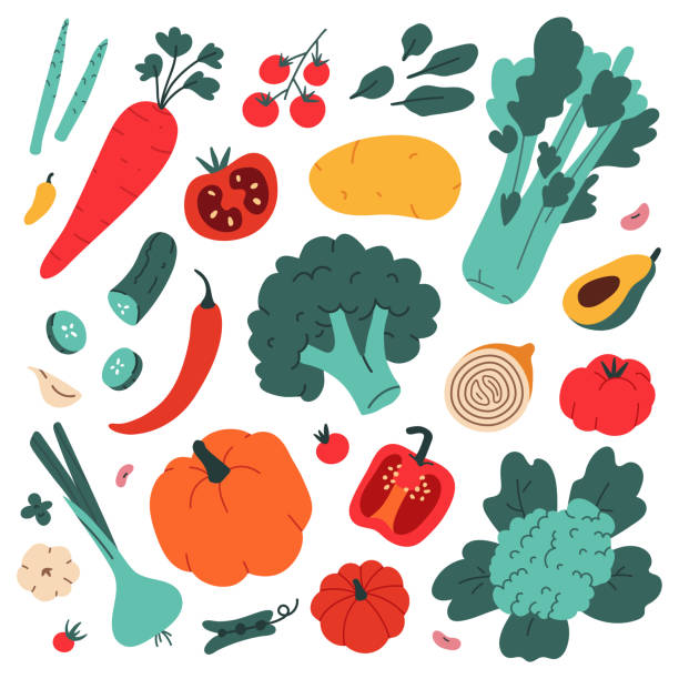 ilustrações de stock, clip art, desenhos animados e ícones de vegetables collection, food ingredients, simple modern art, broccoli, avocado and celery, healthy eating, agricultural fruits, collection of cliparts, vector illustration isolated - cauliflower white backgrounds isolated
