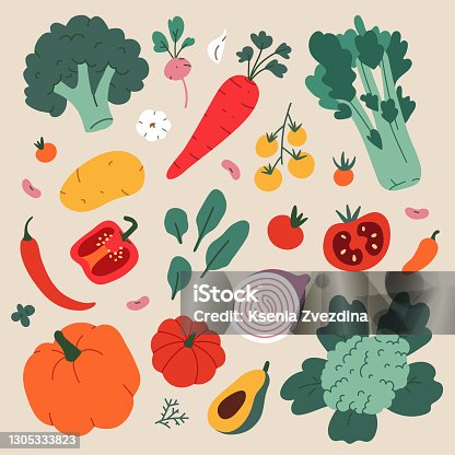 istock Vegetable food illustration, modern drawing of broccoli, cauliflower and celery, healthy eating cooking ingredients, vector cliparts 1305333823