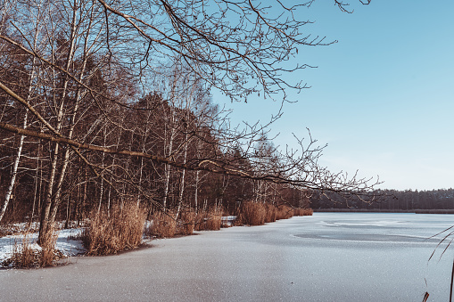 A frozen lake in the middle of a forest on a frosty winter day, south-west Poland.