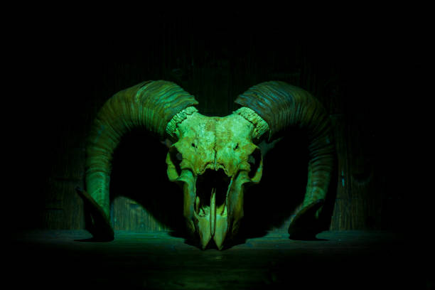 istock Green old ram skull on wooden wall 1305335445