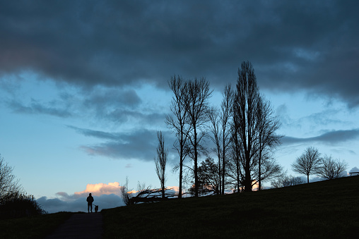 Late evening at Harrow Hill with tree and walking people silhouettes