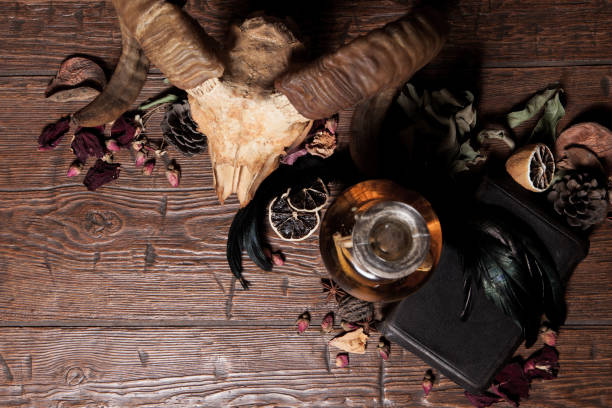 istock Vintage witchcraft still life with snake cobra and skull. 1305336770