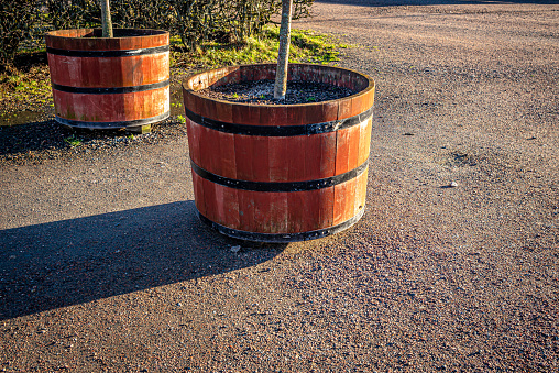 Wooden barrels used for plants