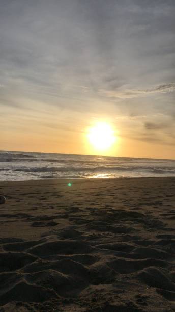 istock Sunset in the indonesian beach with black sand 1305339267