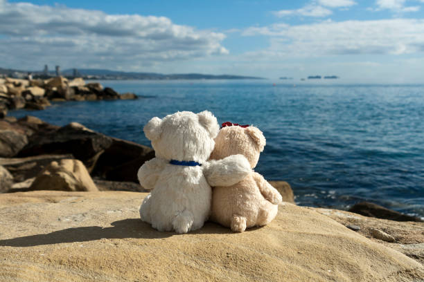 Two Teddy Bears In Front Of Sea And Sky Stock Photo - Download