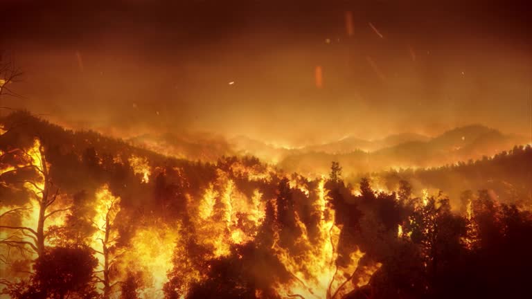 Aerial panoramic view of forest fire at night, heavy smoke causes air pollution